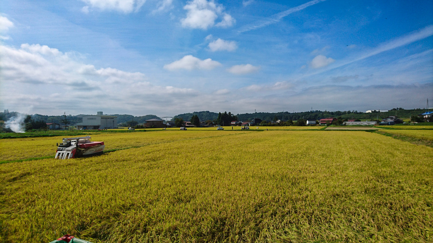 hugmiのお米　玄米　5kg × 2個 (10キロ)