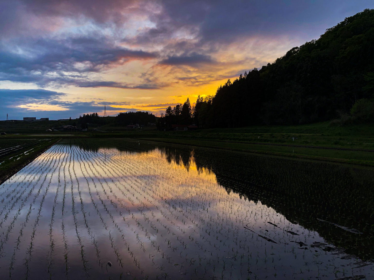 hugmiのお米　玄米　5kg × 2個 (10キロ)