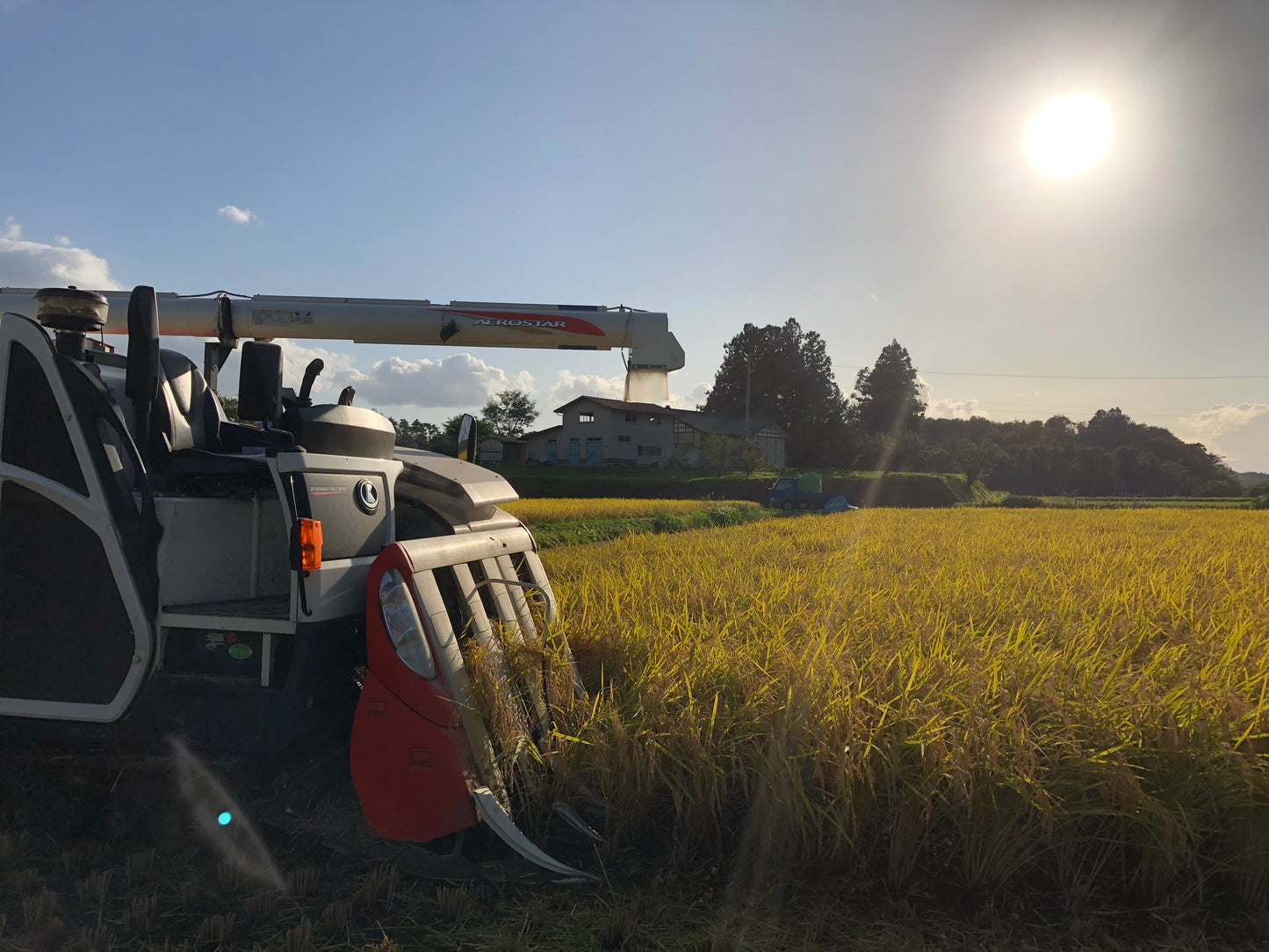 hugmiのお米　玄米　5kg × 2個 (10キロ)