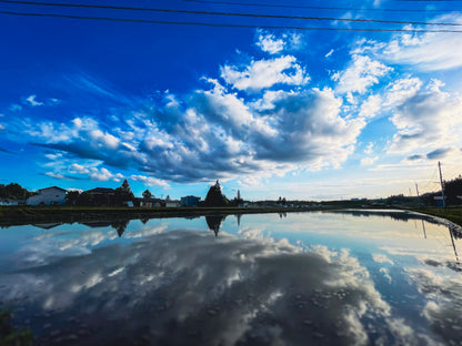 hugmiのお米　玄米　5kg × 2個 (10キロ)